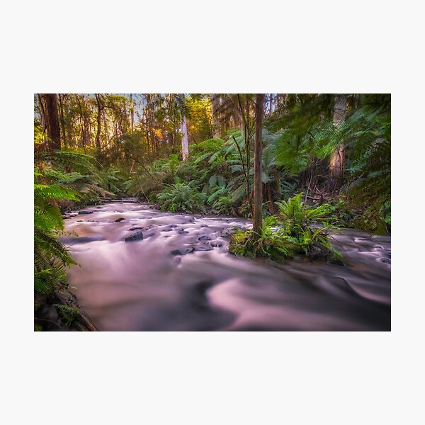 Item preview, Upper Yarra River, Warburton designed and sold by Scott Harty.