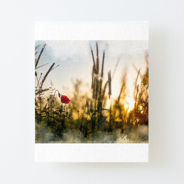 A small magical world painted Canvas Mounted Print