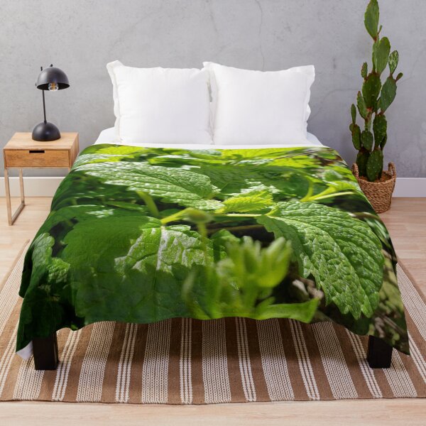 Item preview, Lemon Balm Herb designed and sold by GrudleBay.