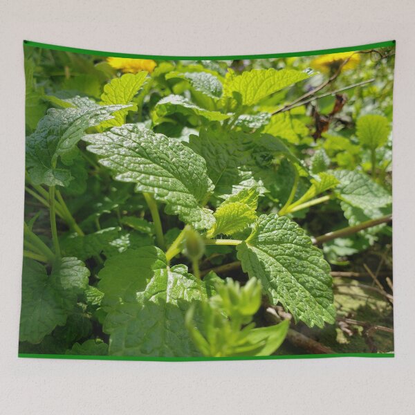 Item preview, Lemon Balm Herb designed and sold by GrudleBay.