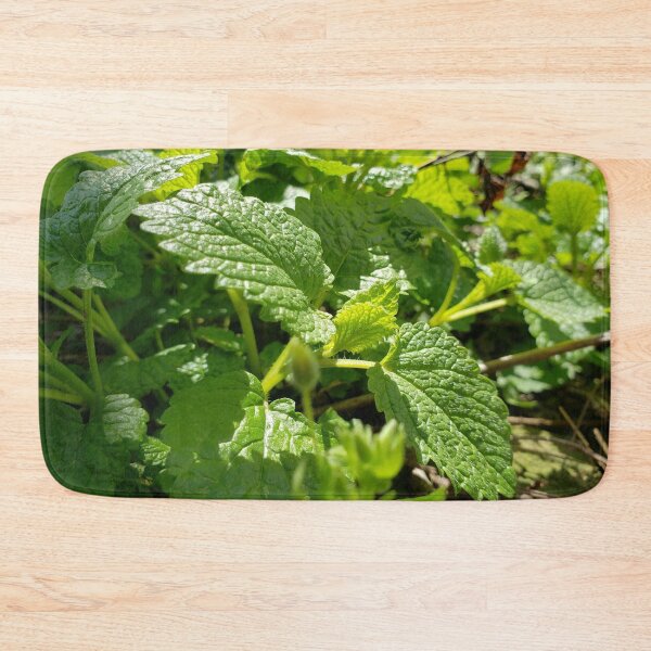Item preview, Lemon Balm Herb designed and sold by GrudleBay.