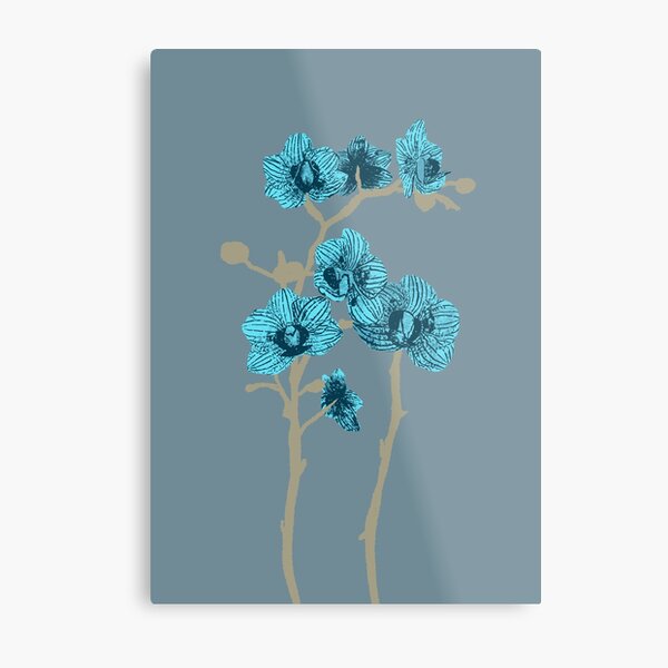 Modern Minimal Orchids in Light Blue Metal Print