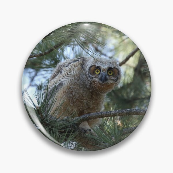 Item preview, Cute Owlet designed and sold by locustgirl.