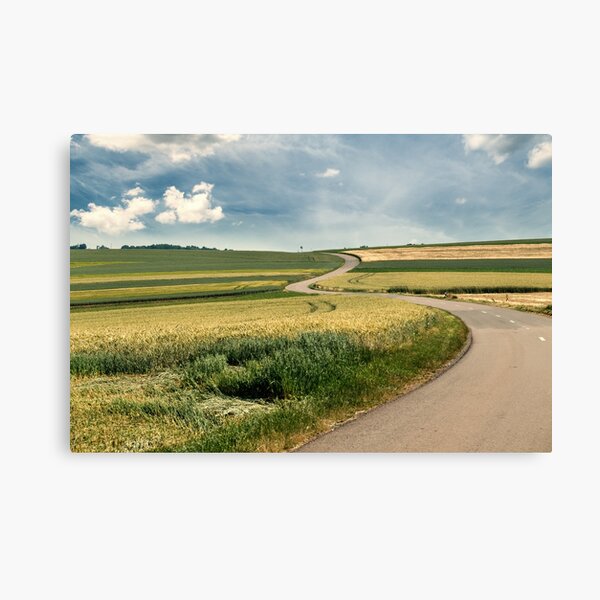 Winding Road Canvas Print