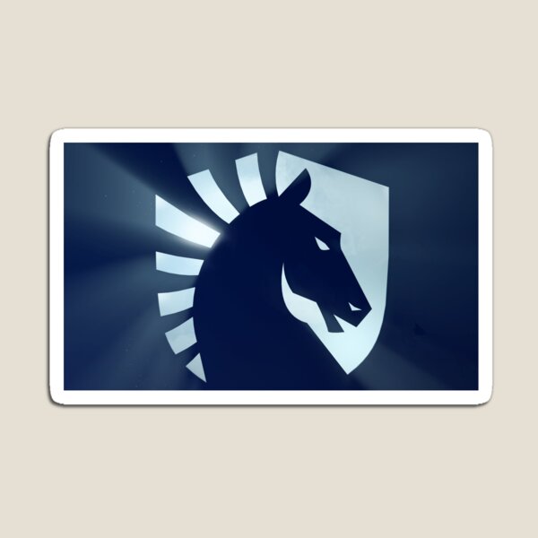 csgo team liguid Magnet