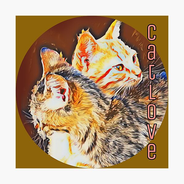 Catlove, two cats in love, photo design Photographic Print