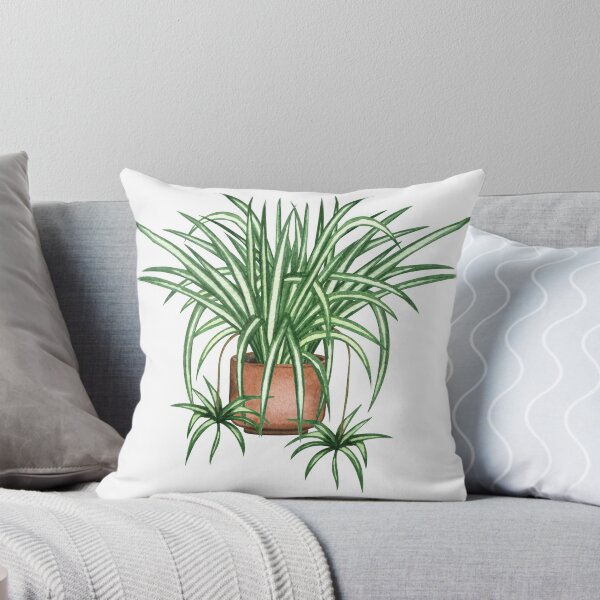 Item preview, Spider Plant designed and sold by katelyngonos.