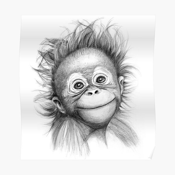 Baby Ornag Outan G15 121 Monkey Poster By Schukinart Redbubble Baby Ornag Outan G15 121 Monkey Poster By Schukinart Redbubble