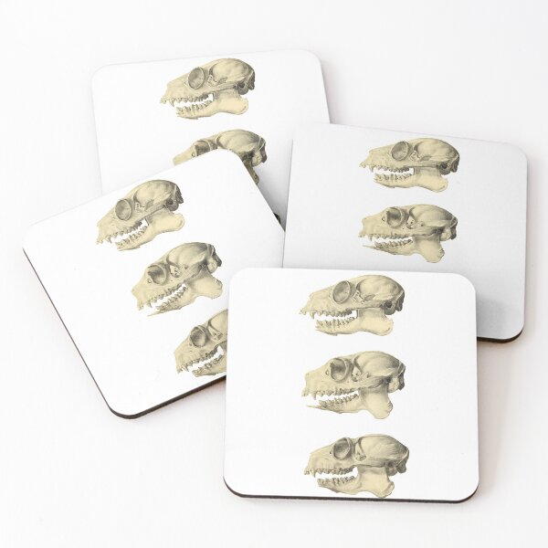 Item preview, Dino Skulls designed and sold by BubuArt.