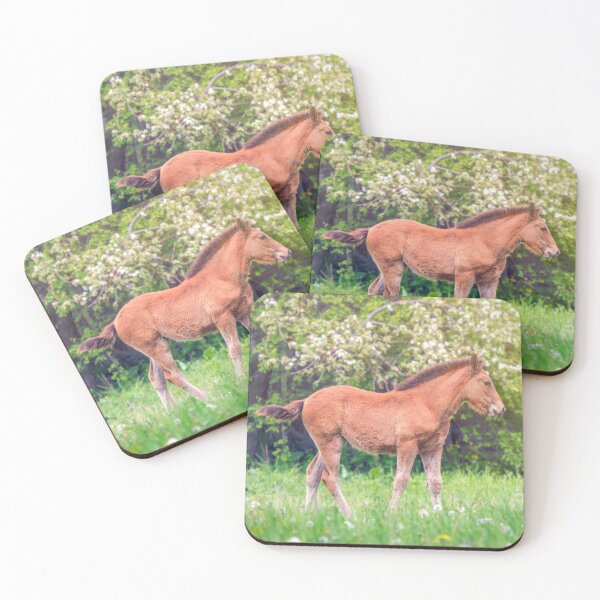Item preview, Cute little foal designed and sold by Svetlana Korneliuk.