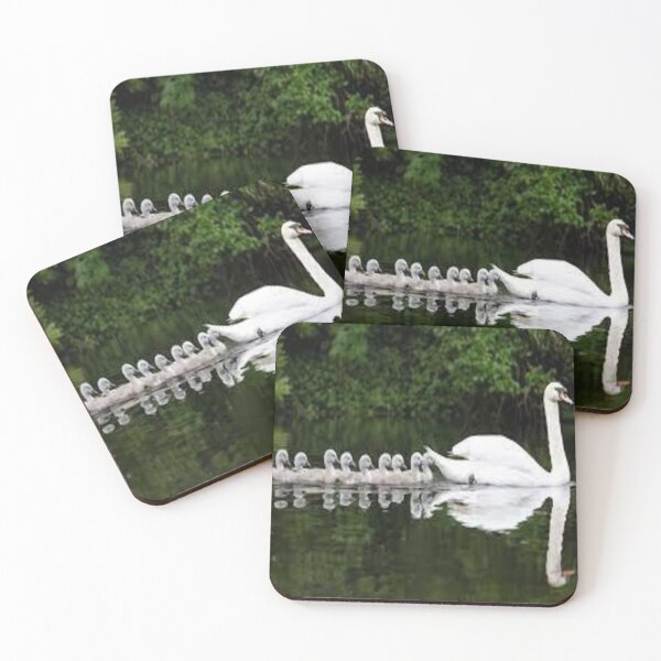 Item preview, swans and cygnets designed and sold by nigejohn.