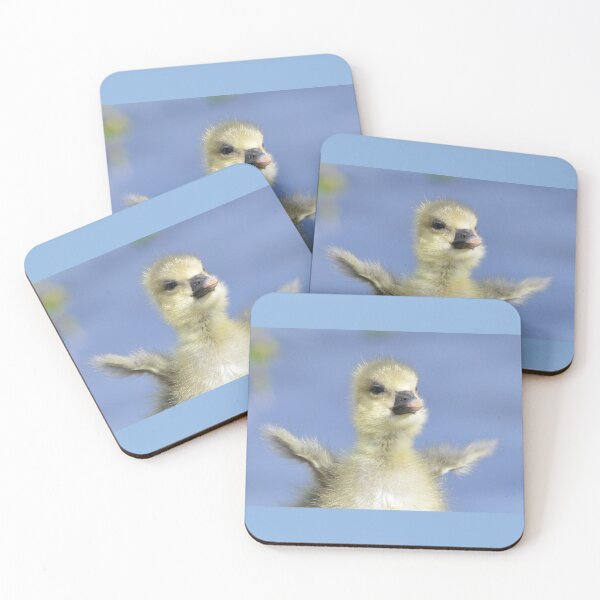 Item preview, Spread your wings designed and sold by ClaireChown.