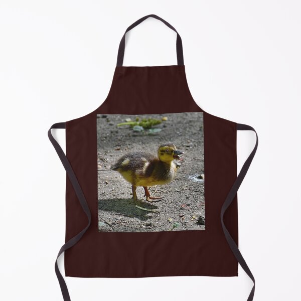 Item preview, "Hey, Stella!" designed and sold by Lanis Rossi.