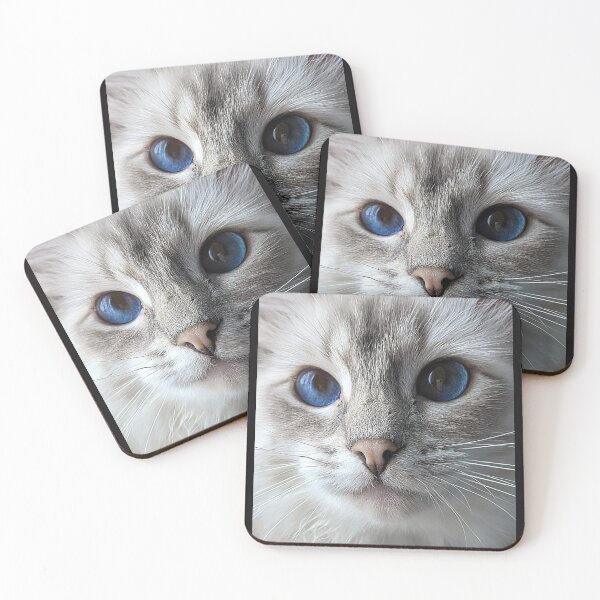 Item preview, Saoirseragdoll lynx ragdoll portrait photo designed and sold by Fluffycat2020.
