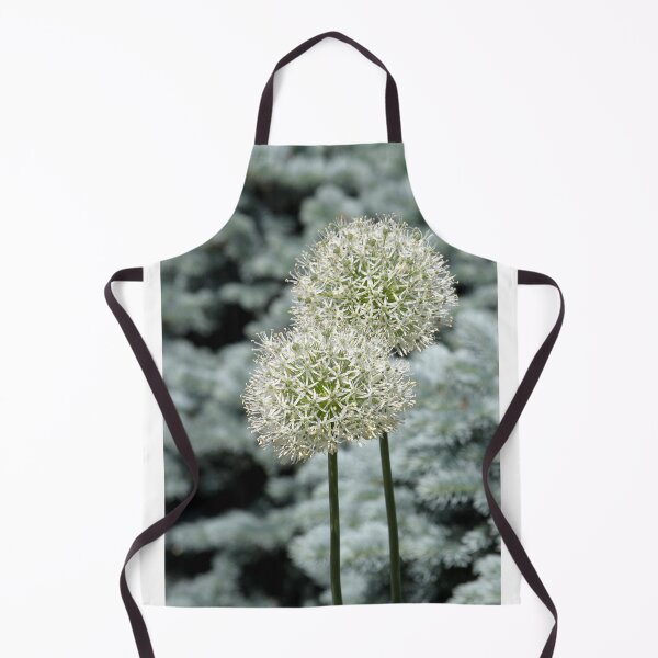 Item preview, Ornamental onion designed and sold by Paula Bielnicka.