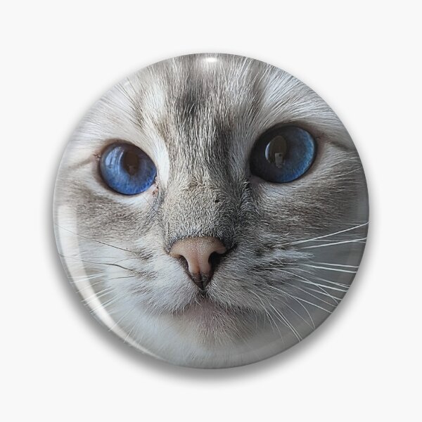 Item preview, Saoirseragdoll lynx ragdoll portrait photo designed and sold by Fluffycat2020.
