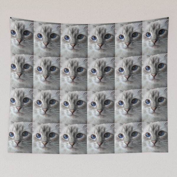 Item preview, Saoirseragdoll lynx ragdoll portrait photo designed and sold by Fluffycat2020.