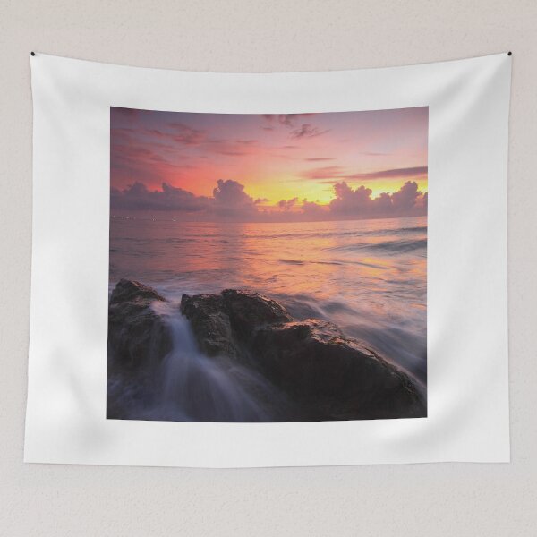 Item preview, Sunshine and Sushi. Sunset Is My Favorite Color. Sunsets designed and sold by TheGoToStore.
