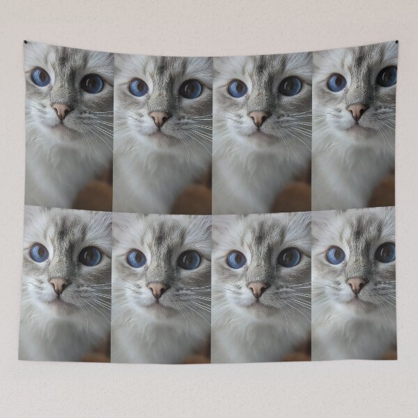Item preview, Saoirseragdoll lynx ragdoll portrait photo designed and sold by Fluffycat2020.