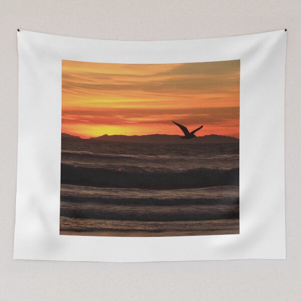Item preview, Sunshine and Sushi. Sunset Is My Favorite Color. Sunsets designed and sold by TheGoToStore.