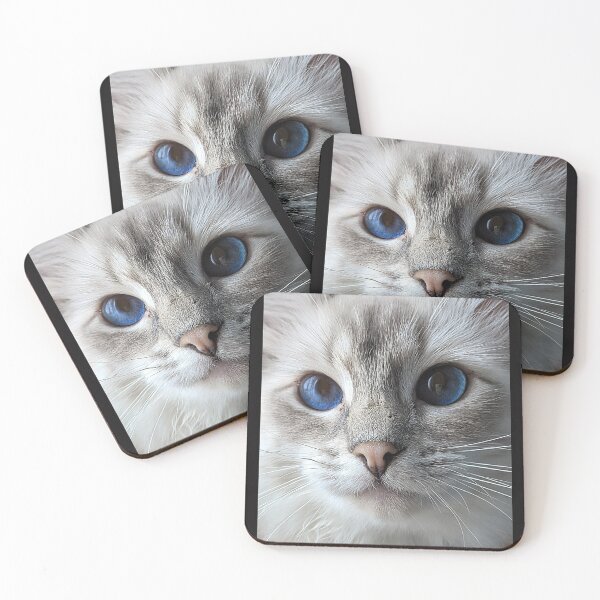 Item preview, Saoirseragdoll lynx ragdoll portrait photo designed and sold by Fluffycat2020.