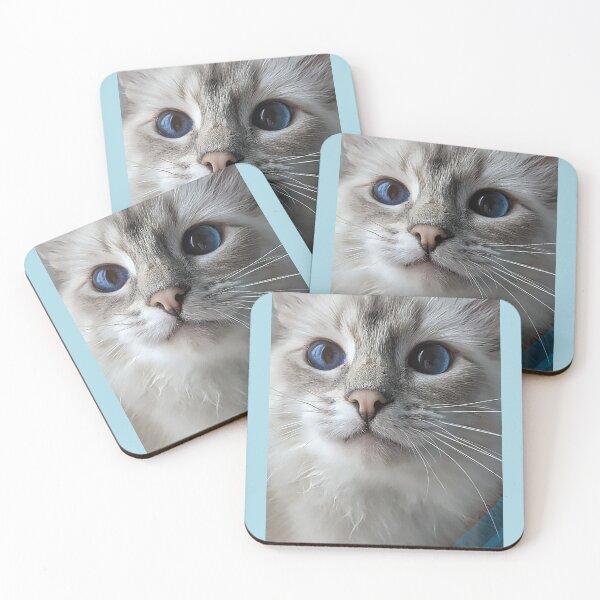 Item preview, Saoirseragdoll lynx ragdoll portrait photo designed and sold by Fluffycat2020.