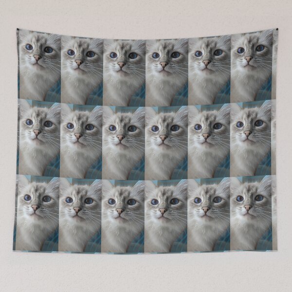 Item preview, Saoirseragdoll lynx ragdoll portrait photo designed and sold by Fluffycat2020.