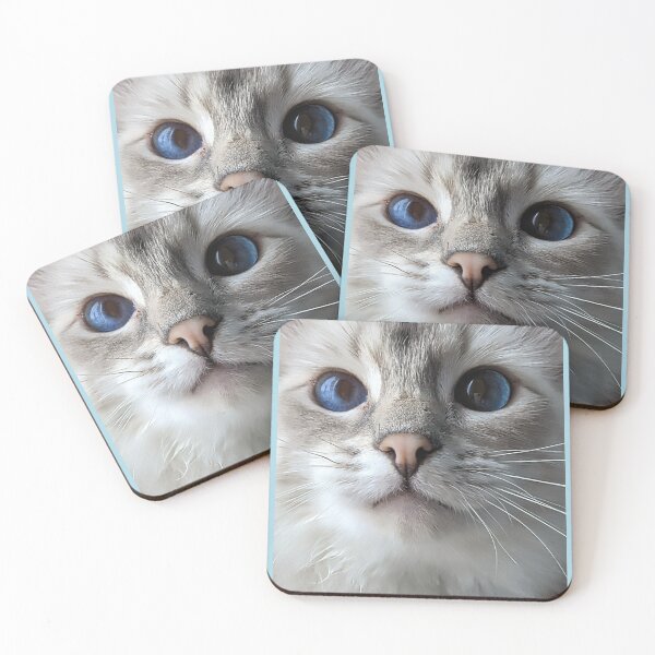 Item preview, Saoirseragdoll lynx ragdoll portrait photo designed and sold by Fluffycat2020.