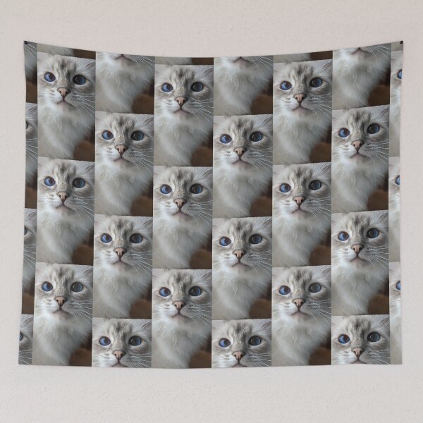 Item preview, Saoirseragdoll lynx ragdoll portrait photo designed and sold by Fluffycat2020.