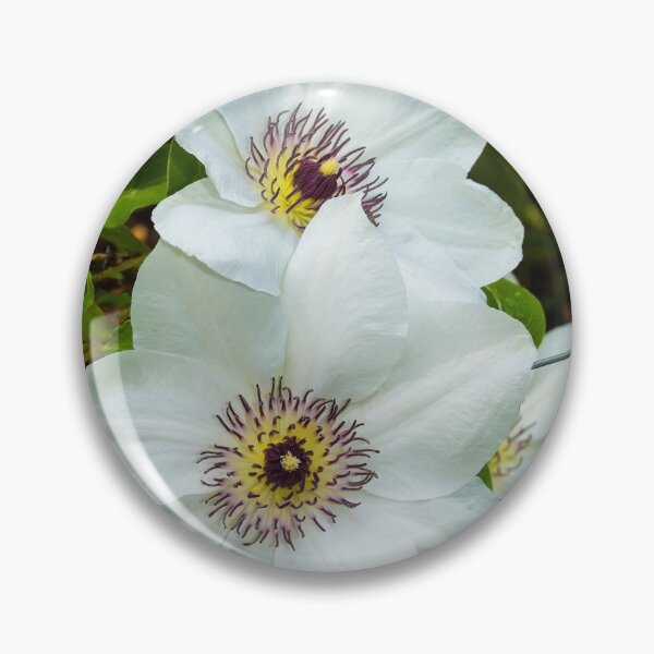 Item preview, White Clematis Flowers designed and sold by jojobob.