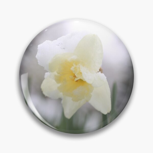 Item preview, Daffodil withstand spring snow.  designed and sold by KimhengFineArt.