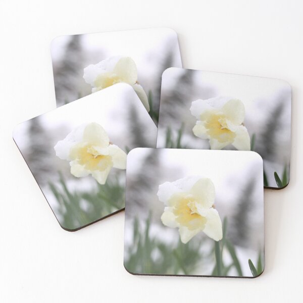 Item preview, Daffodil withstand spring snow.  designed and sold by KimhengFineArt.
