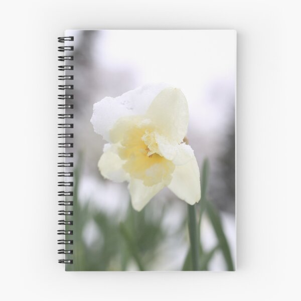 Item preview, Daffodil withstand spring snow.  designed and sold by KimhengFineArt.