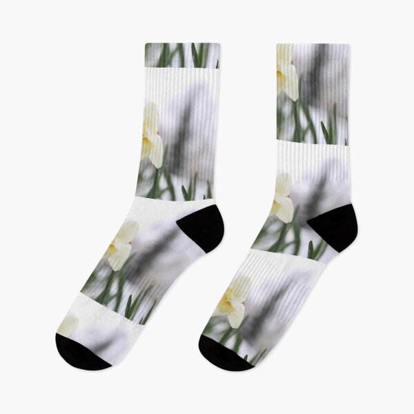 Item preview, Daffodil withstand spring snow.  designed and sold by KimhengFineArt.