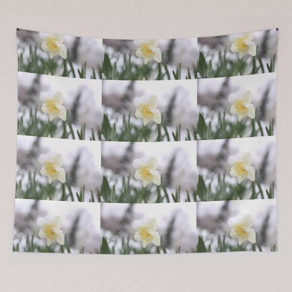 Item preview, Daffodil withstand spring snow.  designed and sold by KimhengFineArt.