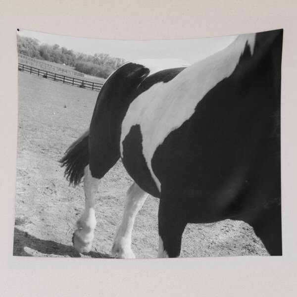 Item preview, A Painted Journey - Black and White Horse Clydesdale Photography Fine Art Print designed and sold by tinaschofield.