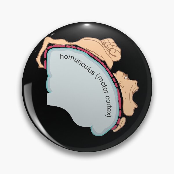 Item preview, Homunculus (motor cortex) designed and sold by RosArt100.
