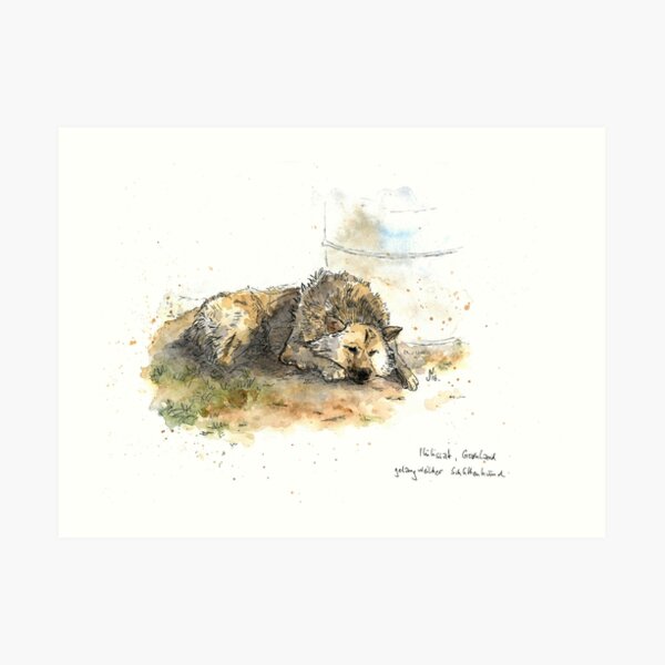 Summer Sleep (Summer Sleep) Art Print