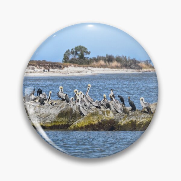 Item preview, Pelicans and Cormorants on a Rock Jetty designed and sold by Catherine Sherman.