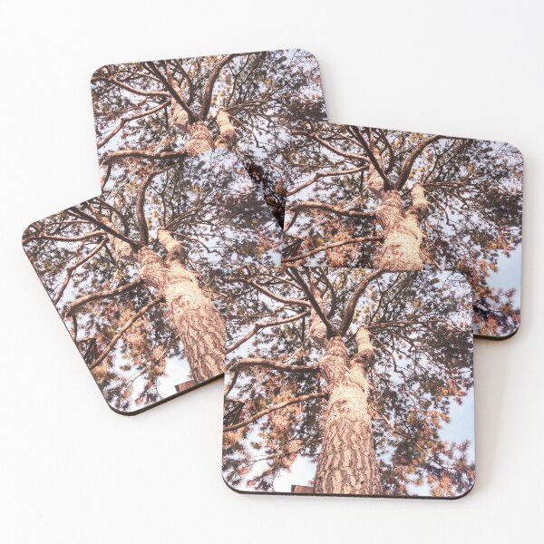 Item preview, Bucolism 6 designed and sold by graziegranata.