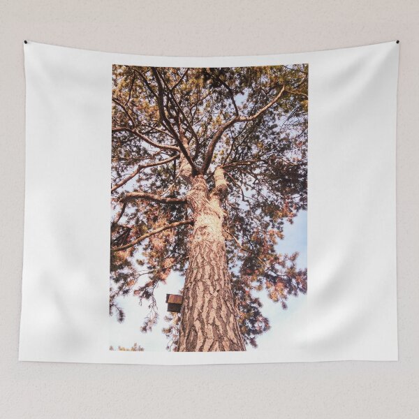Item preview, Bucolism 6 designed and sold by graziegranata.