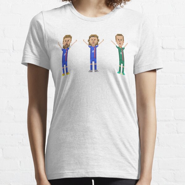 Iceland 2016 Essential T-Shirt