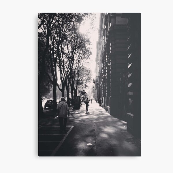 Metal Print