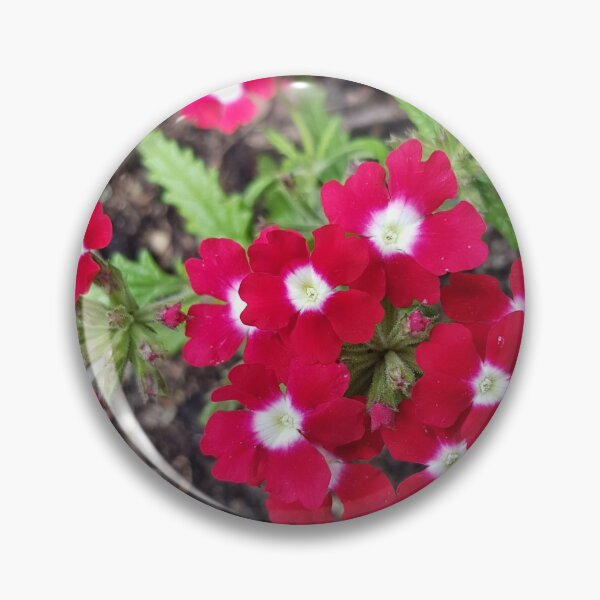 Item preview, Pretty Red designed and sold by ScarletPanda.