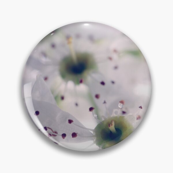 Item preview, Serviceberry designed and sold by StampCity.