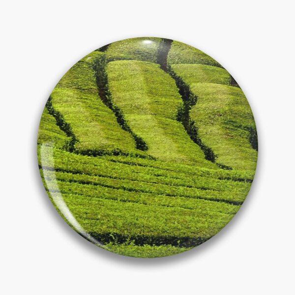 Item preview, Tea plantation Gorreana, Sao Miguel island, Azores travel destination. designed and sold by AylaHarbich.