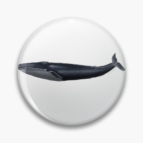 Item preview, Blue Whale  designed and sold by Ailuigidlos.