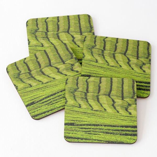 Item preview, Tea plantation Gorreana, Sao Miguel island, Azores travel destination. designed and sold by AylaHarbich.