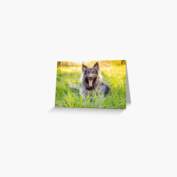 Happy Birthday Friend Greeting Card Greeting Card