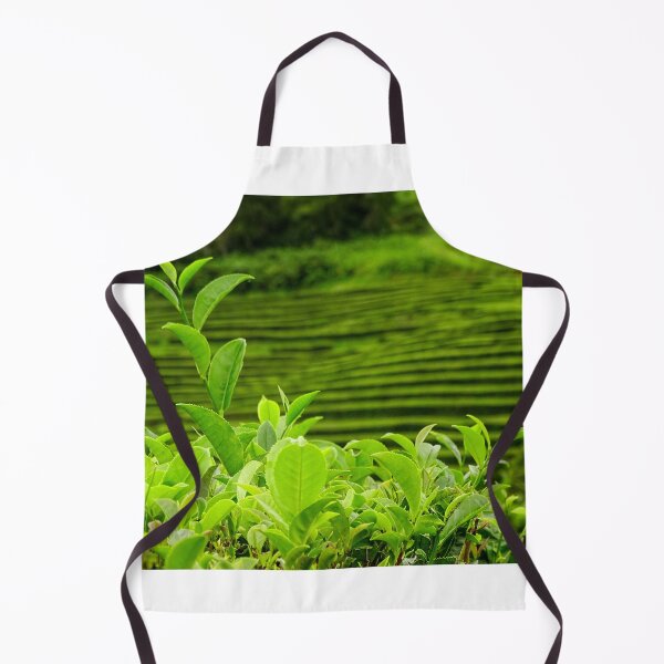 Item preview, Tea plantation Gorreana, Sao Miguel island, Azores travel destination. designed and sold by AylaHarbich.
